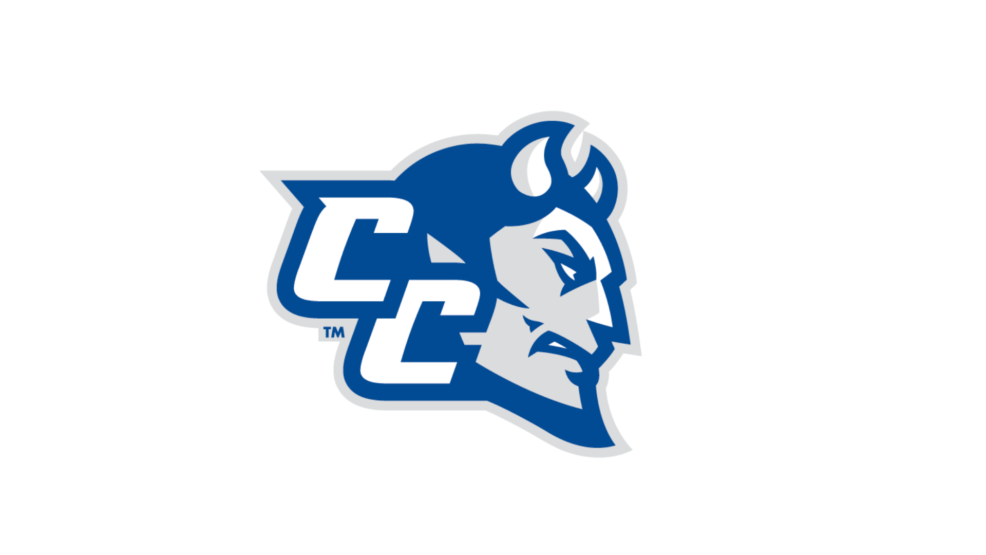 2010 CCSU Volleyball Media Guide
