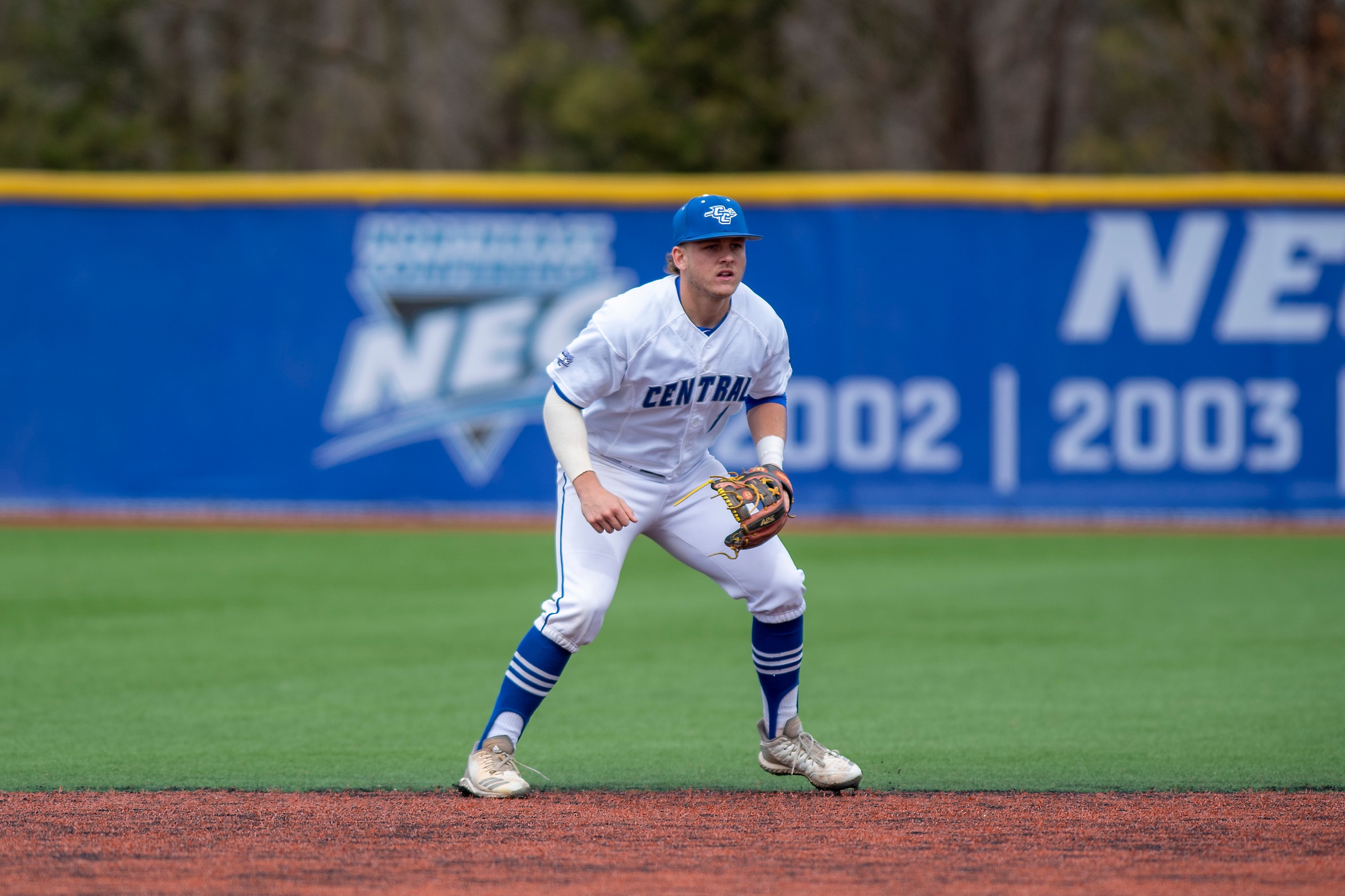 Covino Earns All-ECAC Baseball Honors