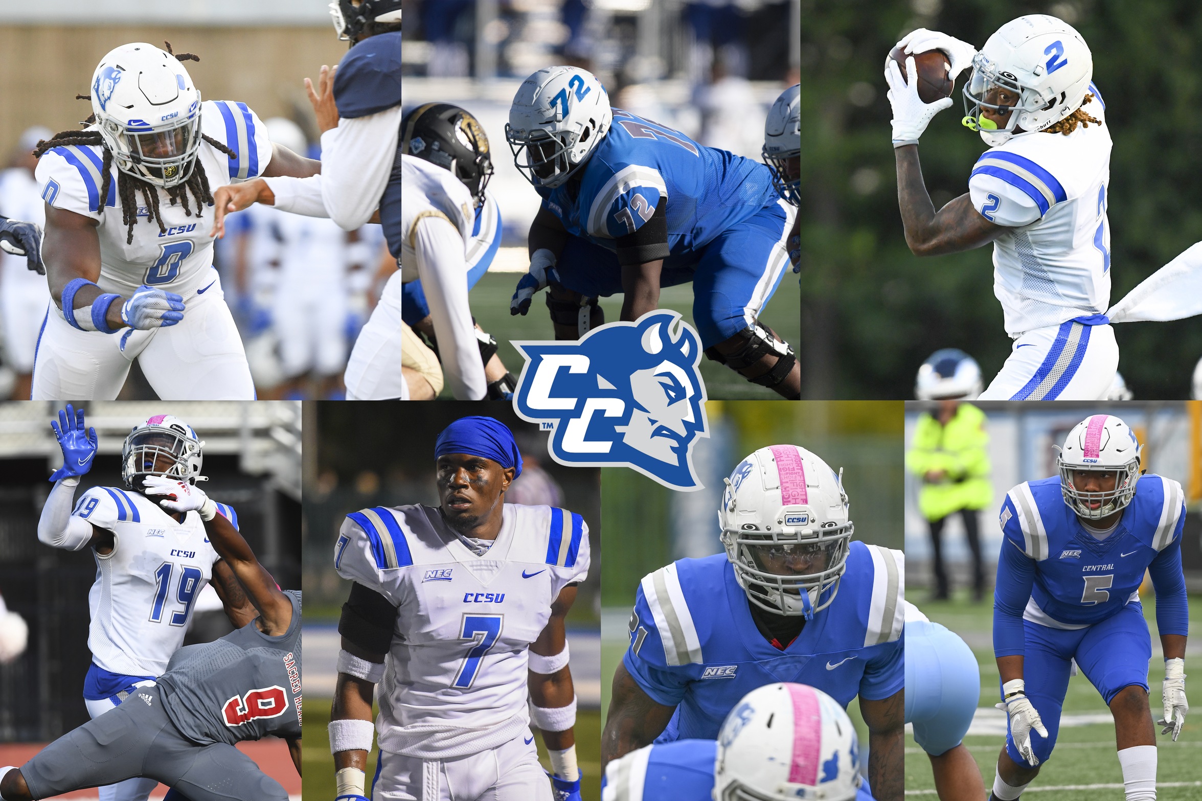 Seven Blue Devils Earn All-NEC Football Honors