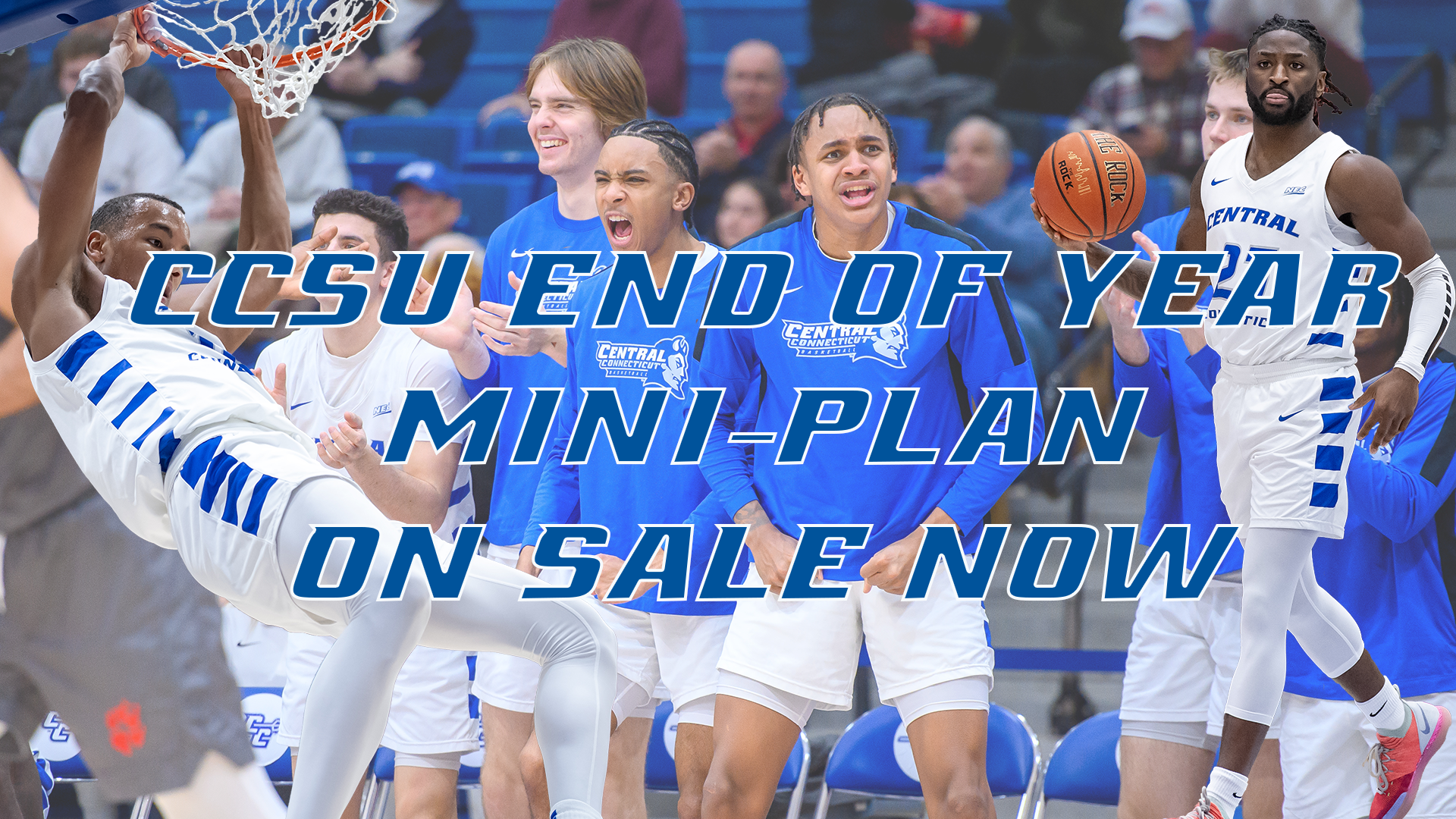CCSU men's basketball End of Year Mini Plans are on sale now. (Photos: Steve McLaughlin)