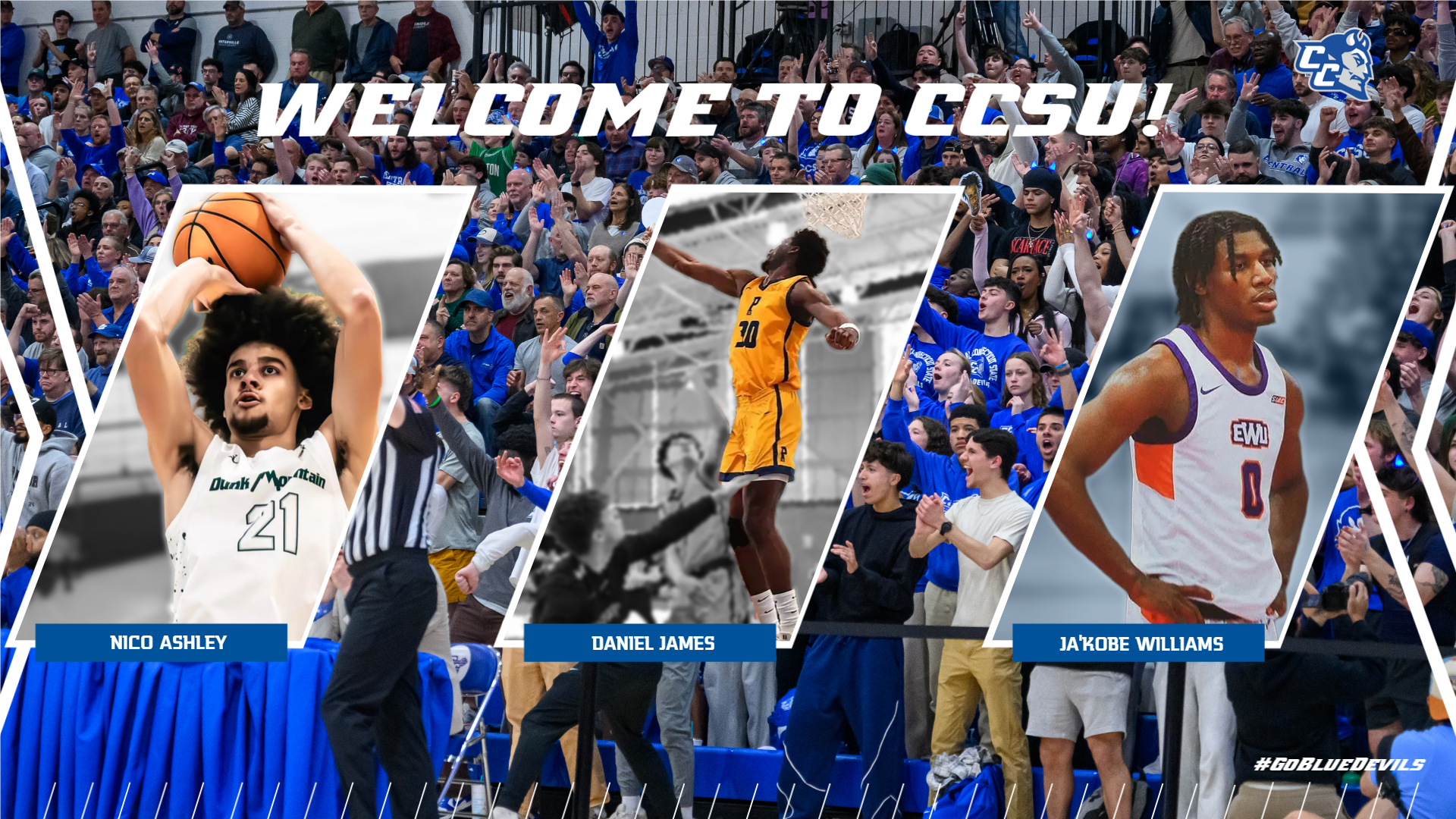 Men's Basketball Adds Trio for 2025-26 Season