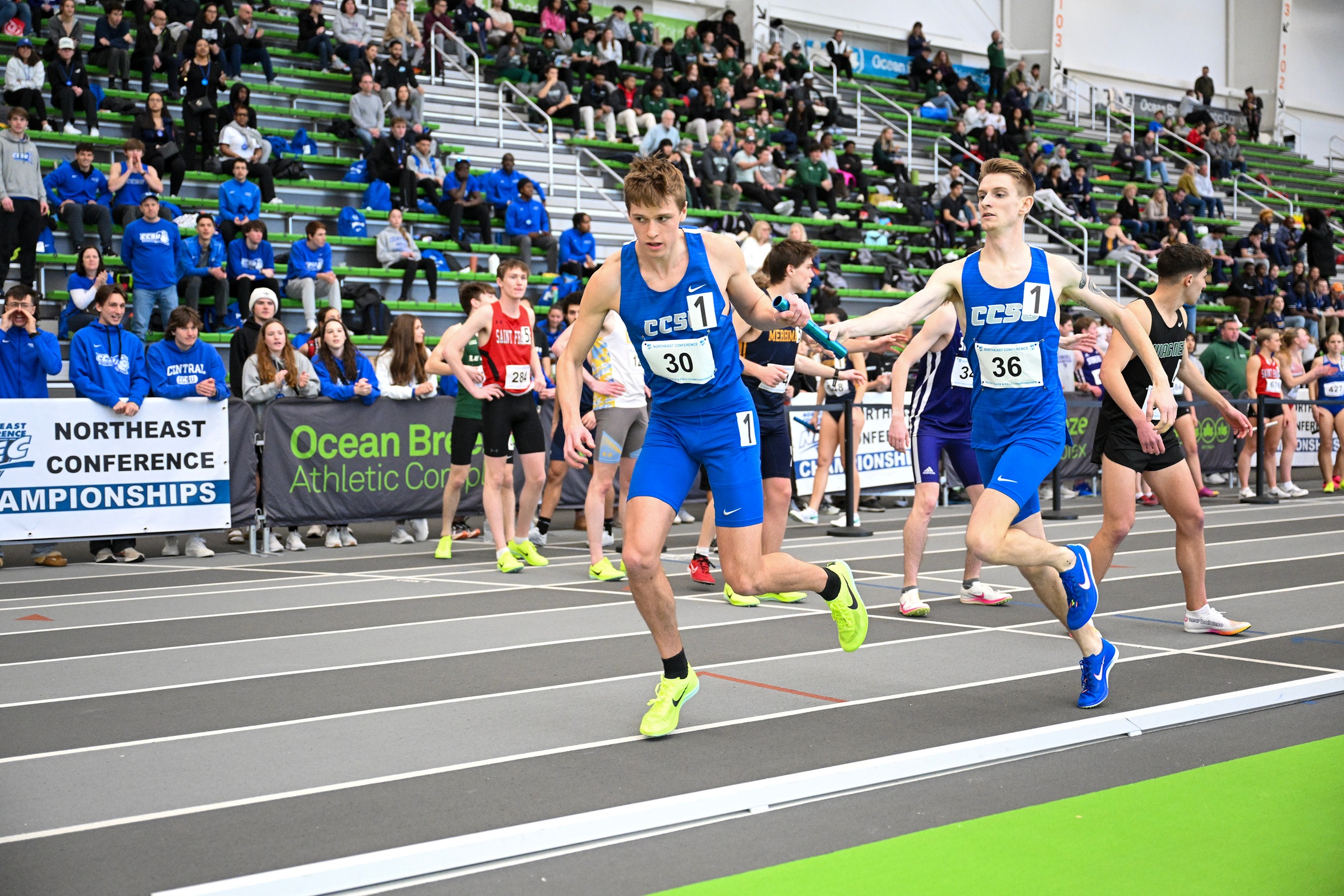 Ireland Named Track Athlete of the Week