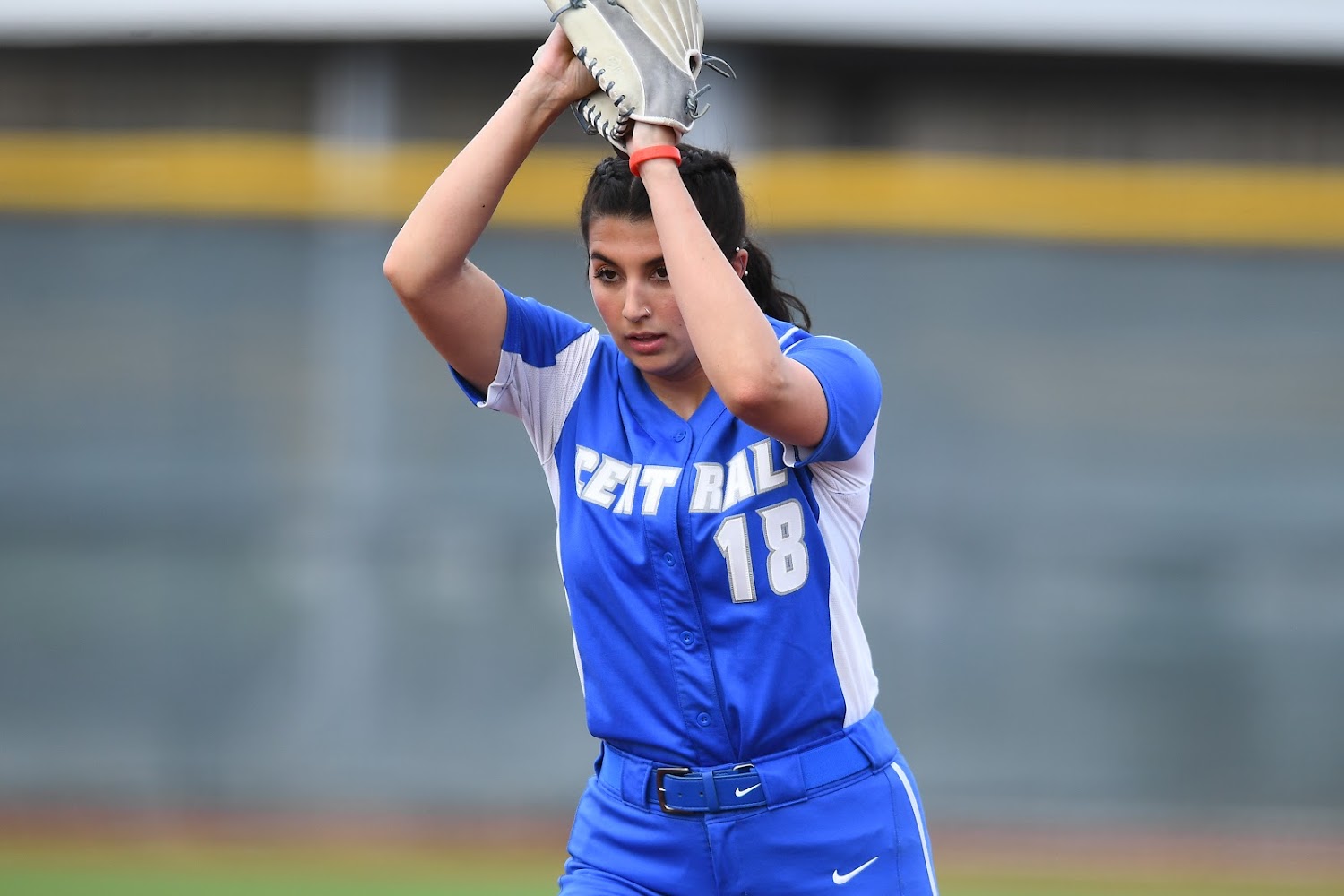 Softball Falls to Norfolk State