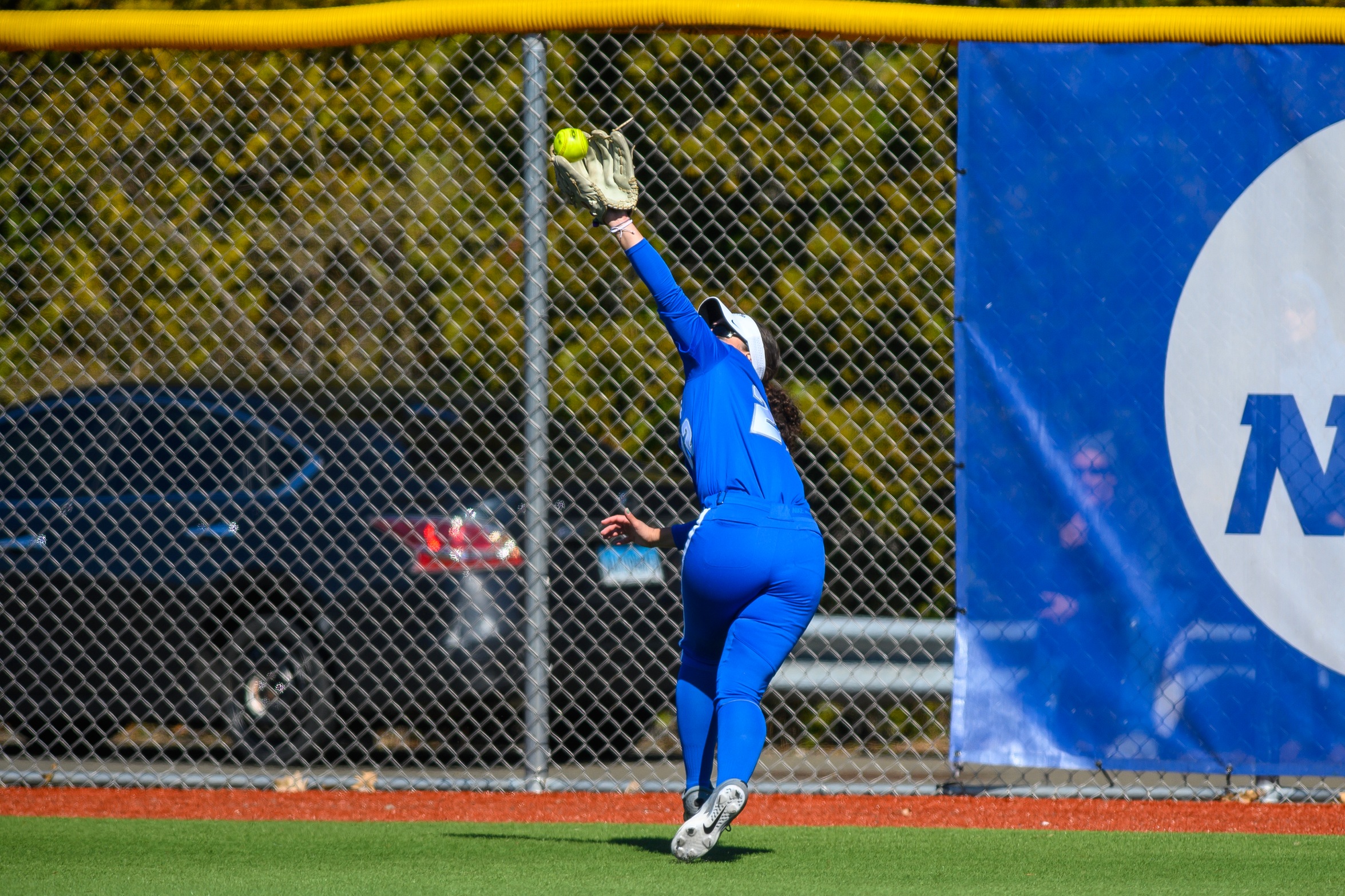 Softball Falls to LIU in Series Finale