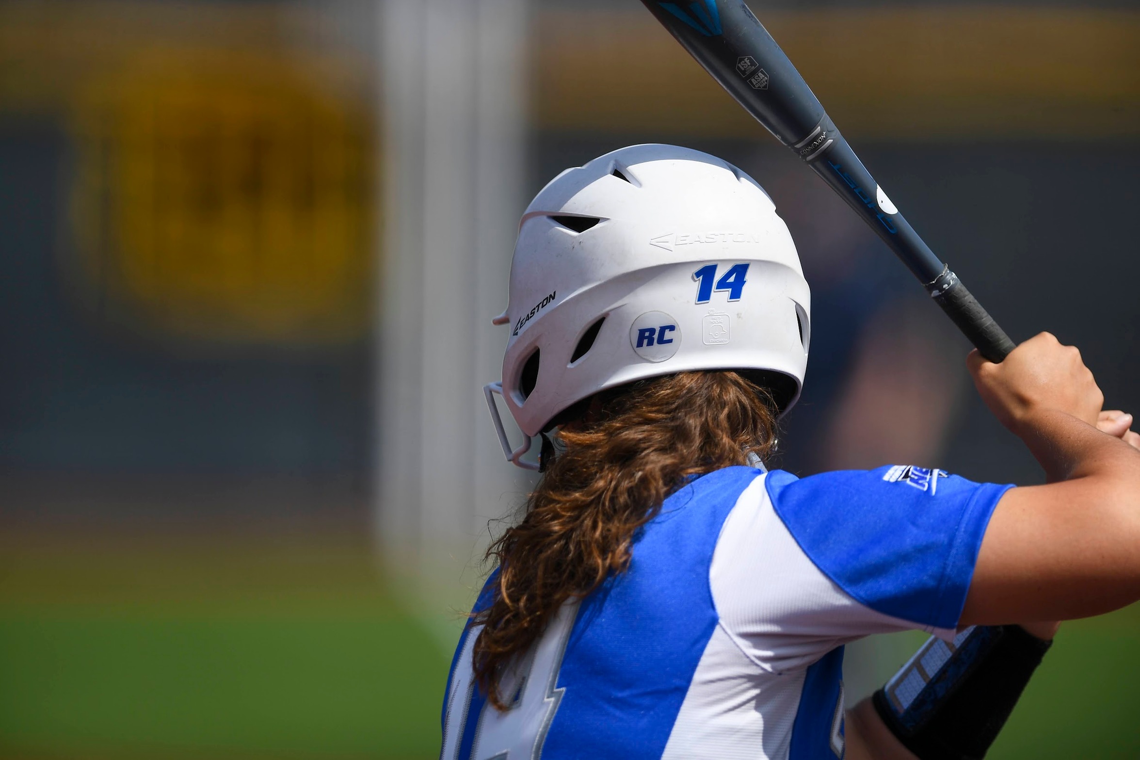 Softball Drops Pair of Saturday Games