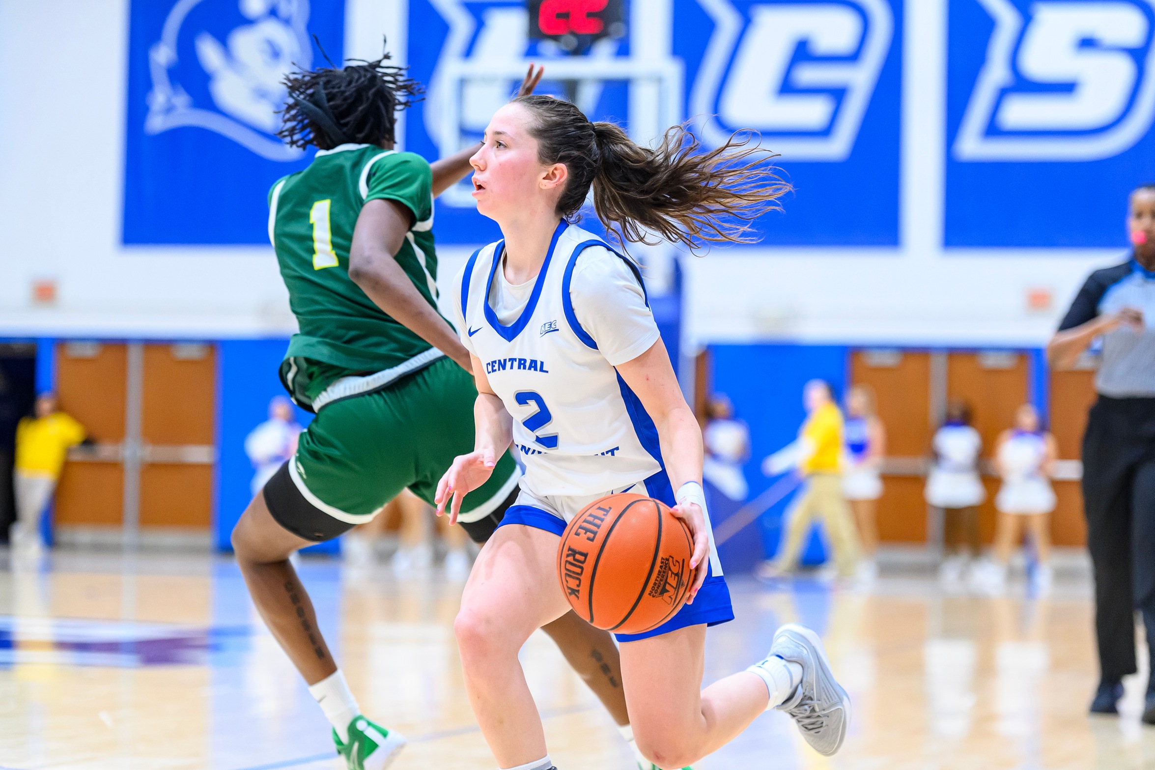 Belle Lanpher's Second Career Double-Double Leads CCSU Over LIU, 52-48