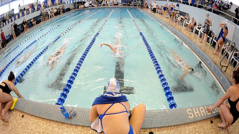 Swimming and Diving Competes at Northeastern, Durham Qualifies for NCAA Zones in Diving