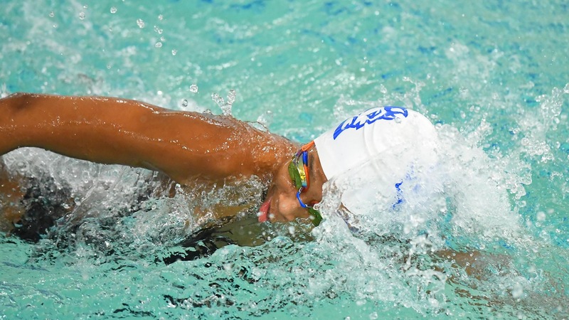 Swimming and Diving Wins 4th Straight Dual