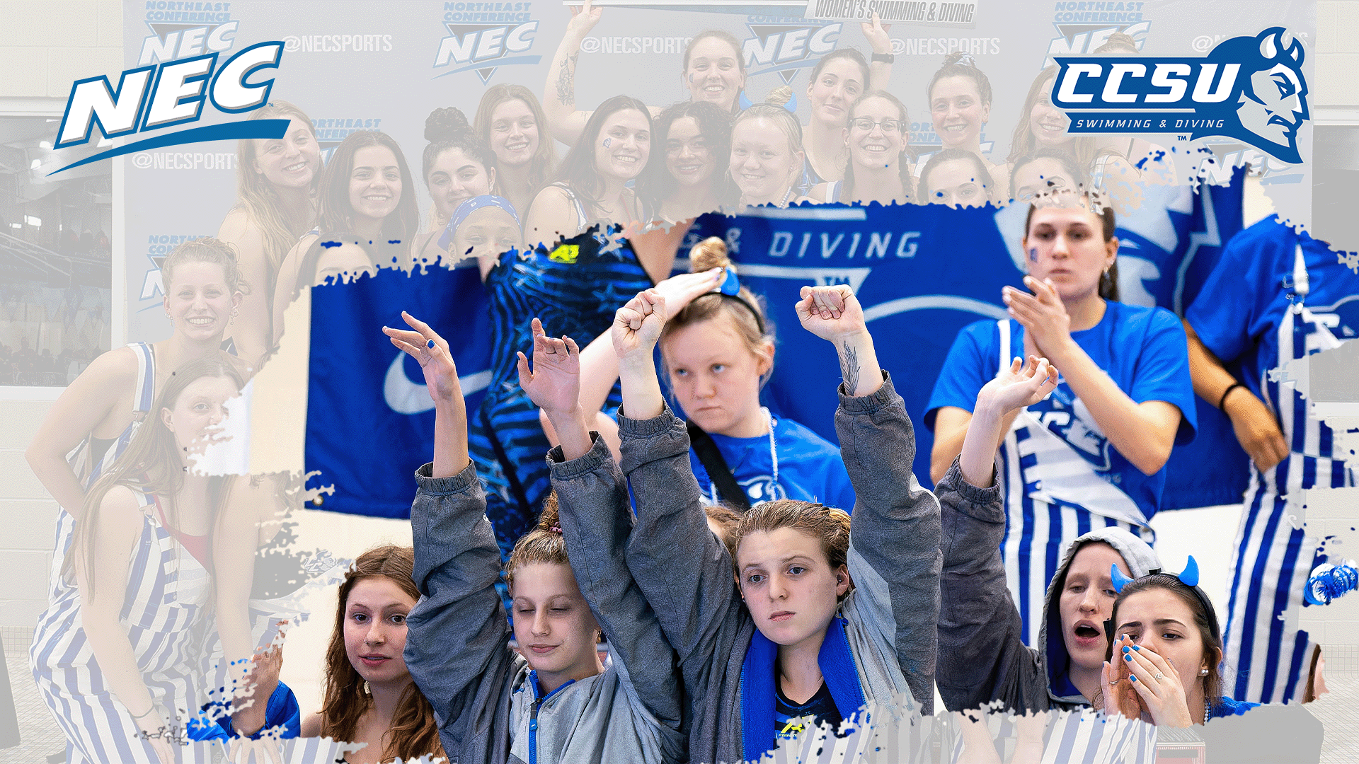 Central Connecticut State swimming and diving, back-to-back NEC Champions, were picked as the team to beat in the NEC Preseason Coaches Poll. (Photos: Brian Fisher/NEC)