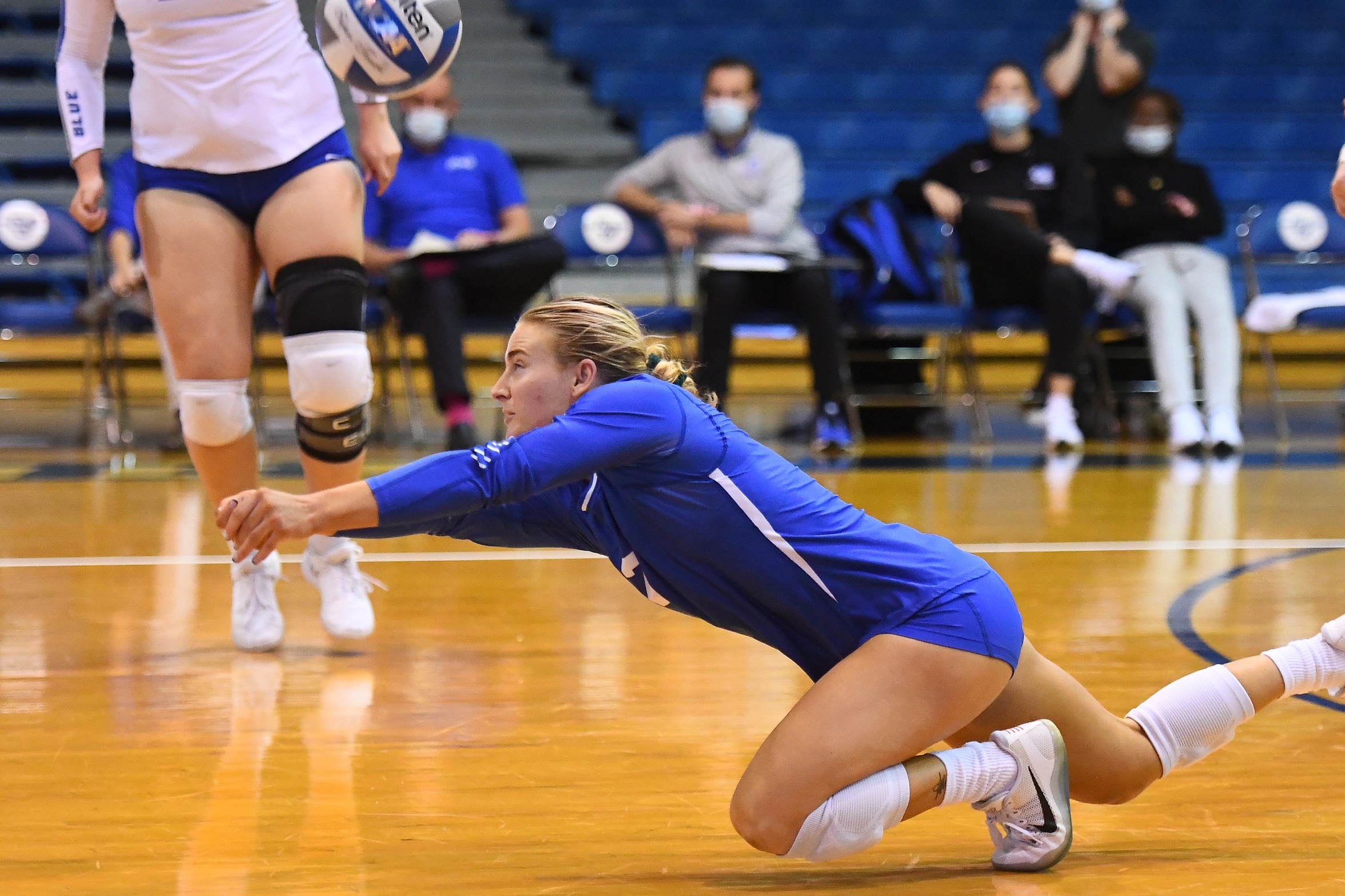 Volleyball Fall to the Sharks on the Road