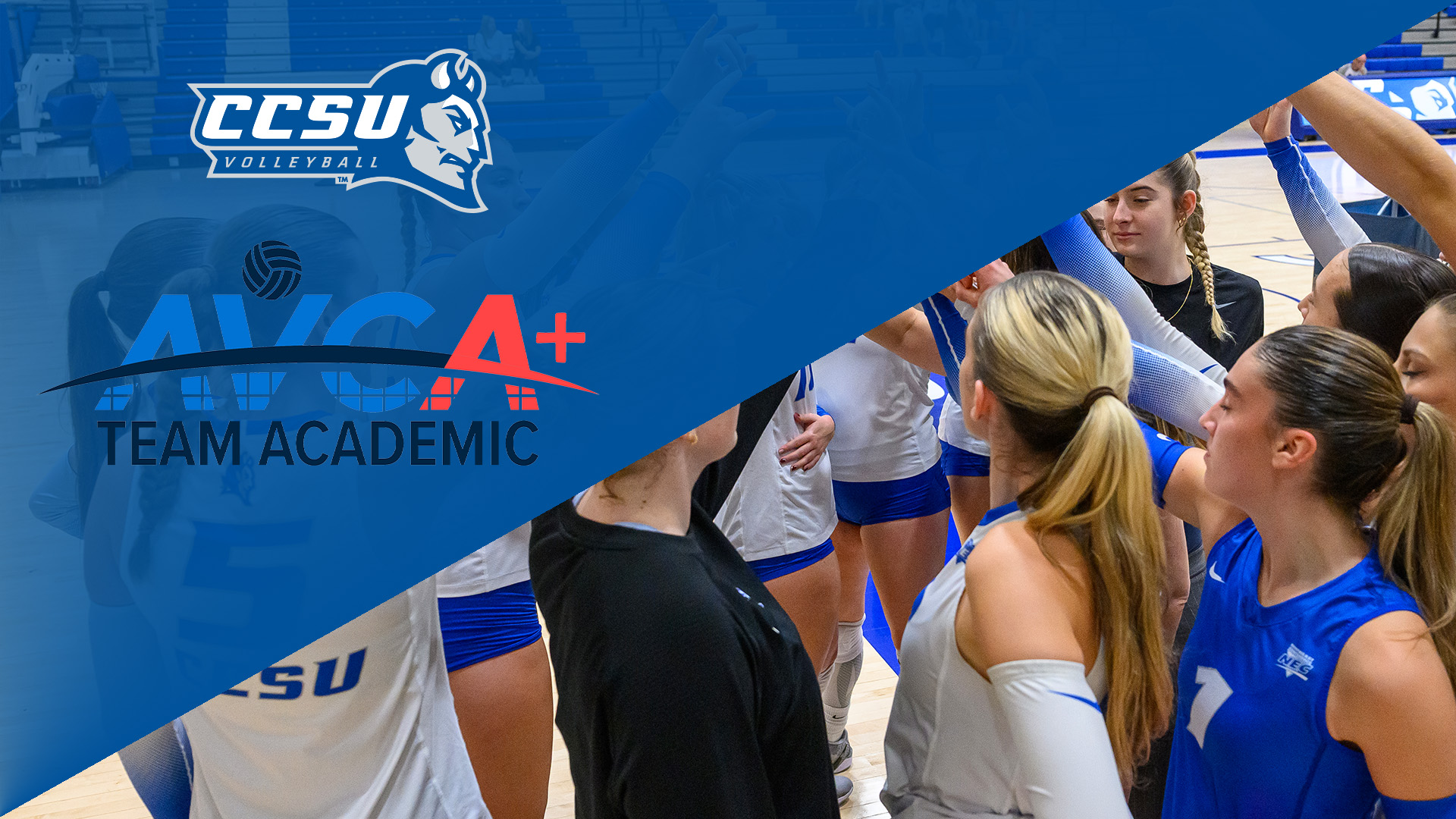 For the 19th consecutive semester, the volleyball team was named an AVCA Team Academic Award winner. (Photo: Steve McLaughlin)