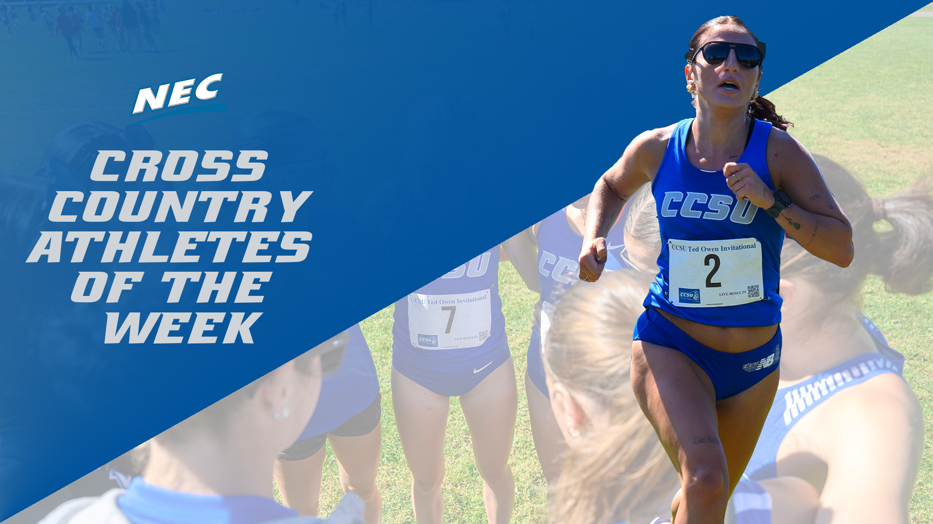 Cancellieri Named NEC Athlete Of The Week
